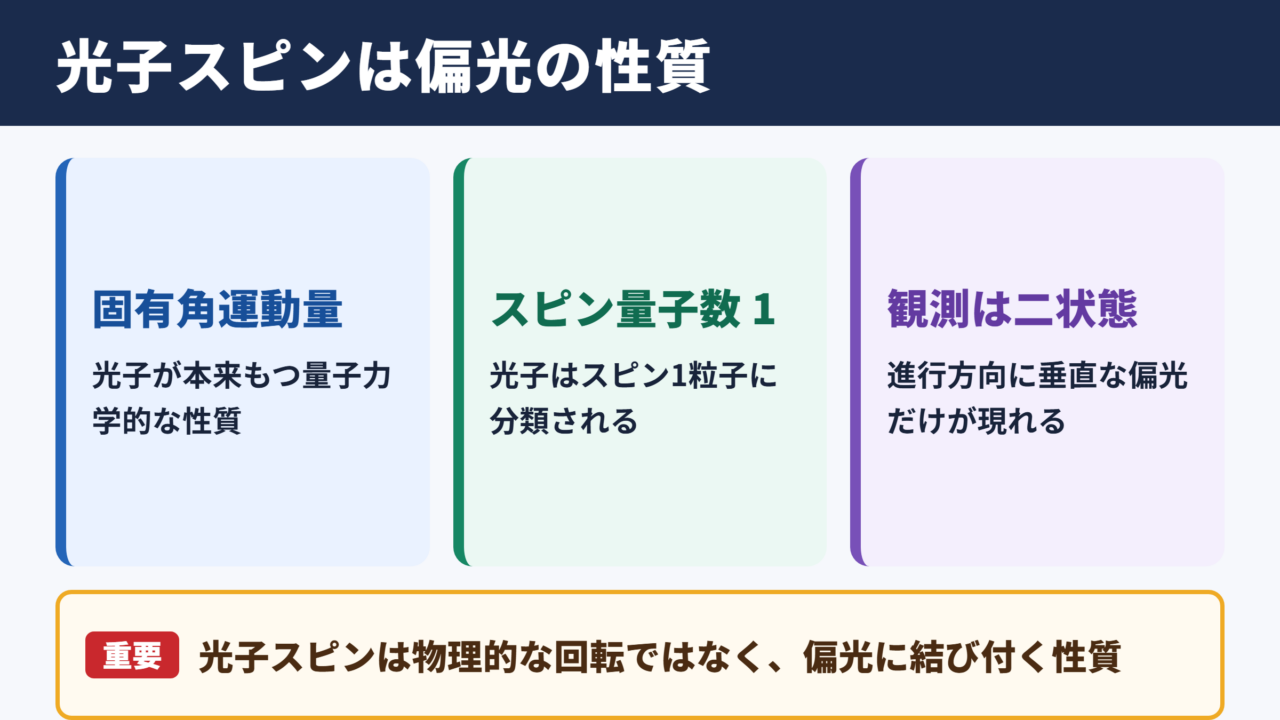 光子スピンの基本的な意味