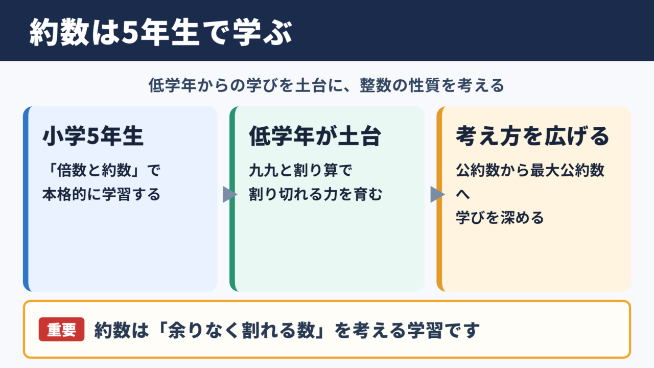 約数を学ぶ学年と小学校算数の位置づけ