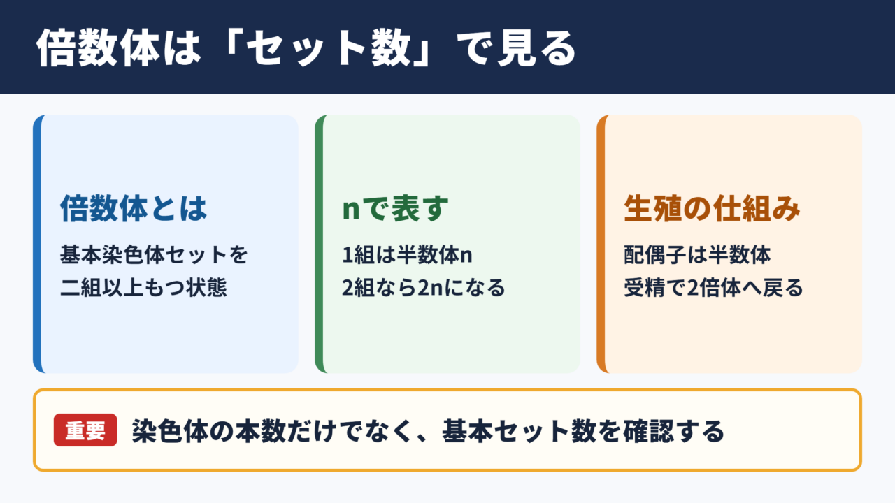 倍数体の基本と生物における役割