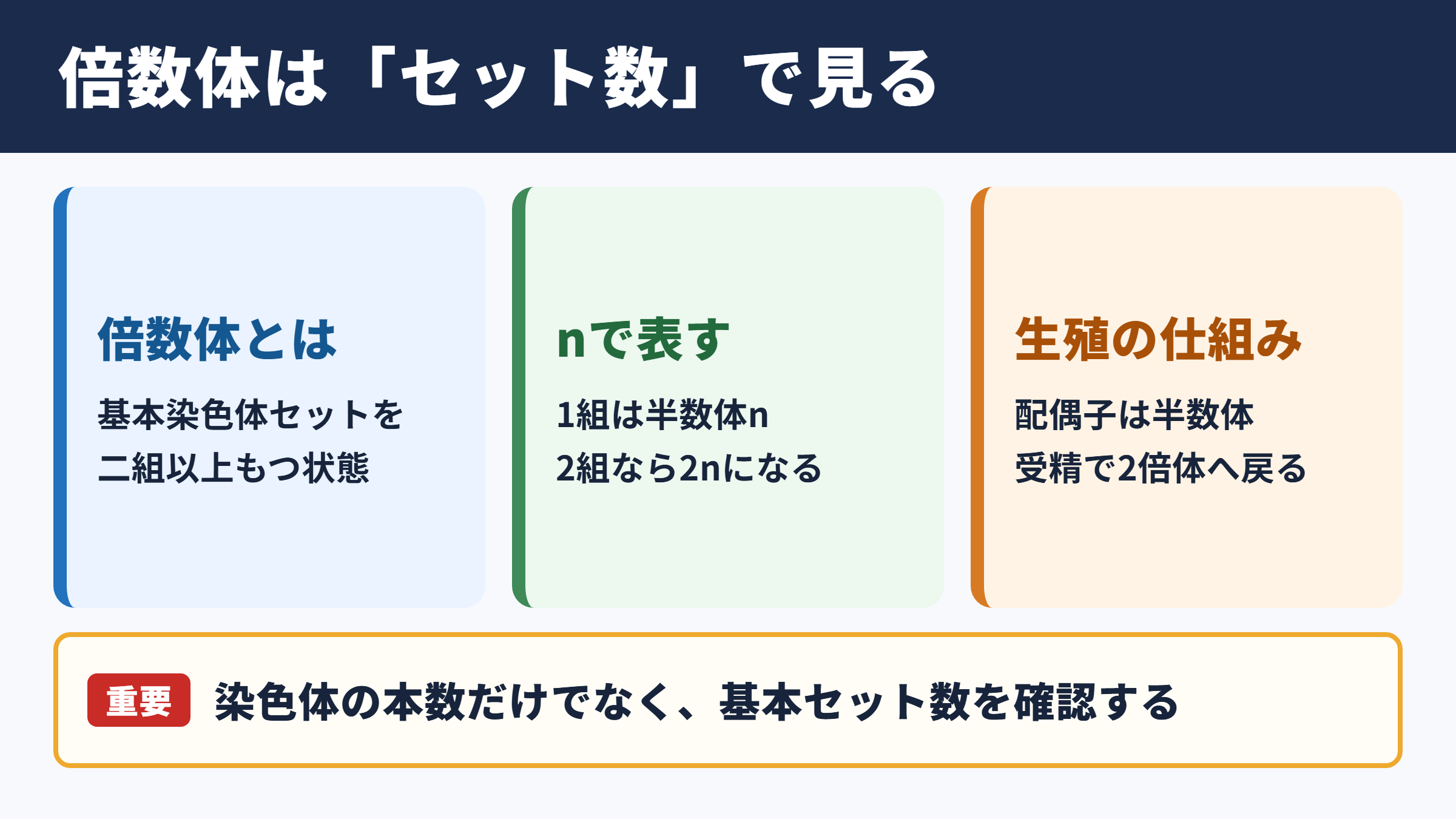 倍数体の基本と生物における役割