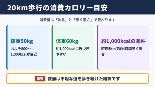 20キロ歩行の消費カロリーの目安
