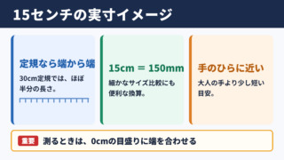 15センチの実寸イメージ