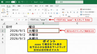 エクセルで曜日を自動表示する方法【TEXT関数の活用】